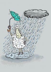 Aprilwetter, Elvis, Schaf, Regen, Sturm, nass, kalt, regenschirm