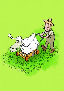 Rasenmähen, Rasenmäher, Elvis, Schaf, Gras, Schwitzen