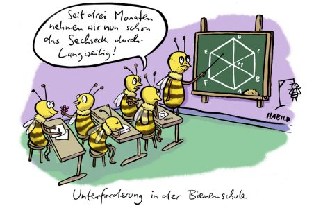 Bienen Schule Sechseck Geometrie Lernen Bienestock Schüler Klasse Lehrer Mathematik