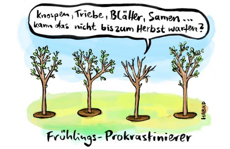 Baum Blätter Frühling Jahreszeiten Aufschieben Prokrastinieren Verzögern