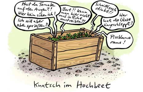 Enge Samen Hochbeet Platz Hochbett Wachsen Sprießen Austreiben