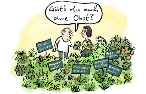 Kräuter Obst Garten Pflanzen Gärtnerei Züchtung