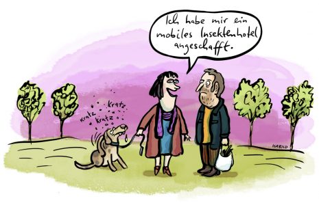 Insekten Flöhe Hund Gassi Frauchen Jucken Kleintierhaltung Haustiere