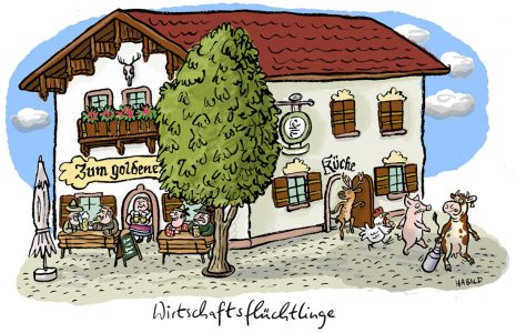 Wirtschaft Bayern Tiere Flüchtlinge Schlachten Essen Biergarten
