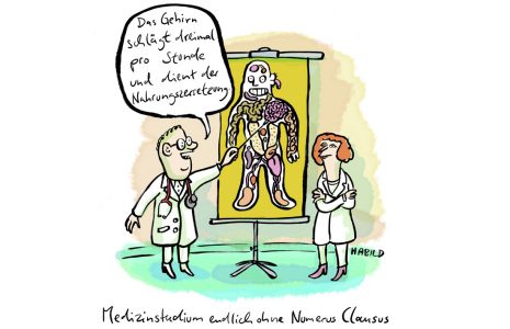 Medizinstudium Numerus Clausus Studium Medizin Gehirn Organe