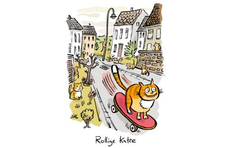 rollige katze rollig skateboard frühling katzen dorf geschlechtsreif