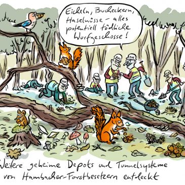 hambacher wald forst braunkohle rwe baumhäuser vorrat nüsse samen tiere wald winter herbst besetzer forstbesetzer waldbesetzer hambach depot eichhörnchen eichelhäher nahrung vorräte