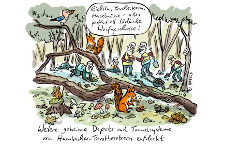 hambacher wald forst braunkohle rwe baumhäuser vorrat nüsse samen tiere wald winter herbst besetzer forstbesetzer waldbesetzer hambach depot eichhörnchen eichelhäher nahrung vorräte