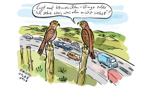 raubvögel autobahn bussard mäusebussard kennzeichen bingo spiele stau langeweile autos verkehr
