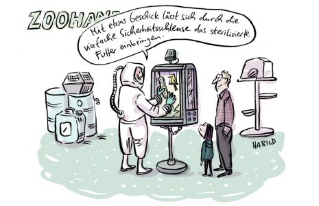 corona, viren, tiere, übertragung, sicherheit, haustier, ansteckung