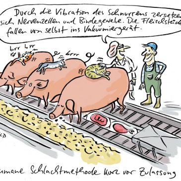 Schlachtindustrie, Schlachten, Schweine, Katzen, schnurren, Schlachhof, human, cartoon, habild, tierwohl, glückliche schweine