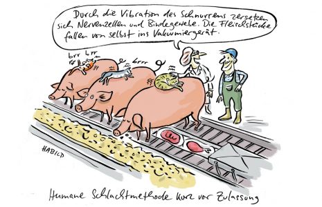 Schlachtindustrie, Schlachten, Schweine, Katzen, schnurren, Schlachhof, human, cartoon, habild, tierwohl, glückliche schweine