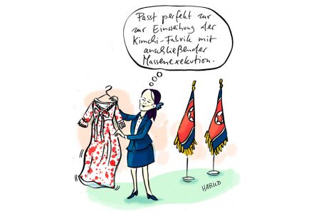 frauen, diktatorin, nordkorea, kim, schwester, kleid, fabrik, exekution, kimchi, diktatur, weiblich, kim yo jong