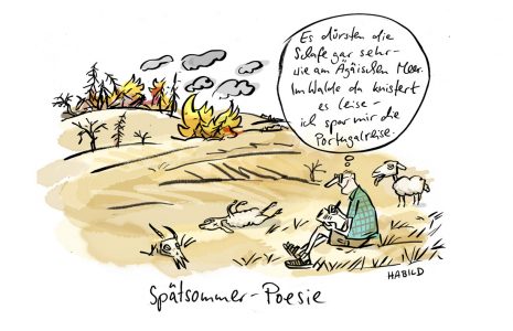 sommer, dürre, waldsterben, waldbrand, gedicht, poesie, corona, reisen, griechenland, portugal