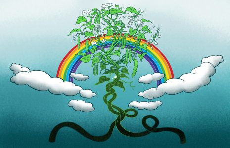 Bohnenstange, Regenbogen, Ranken, über den Wolken, ins Licht