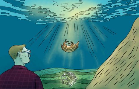 Augmented Reality, Erlebnis, Parcours, Urzeit