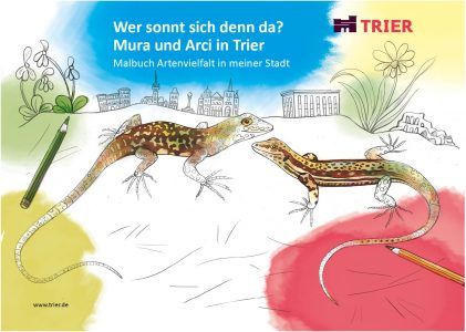 Eidechse, Ausmalbuch, Naturschutz, Reptilien, Echse, Kinderbuch, Natur, heimische Tiere, bedrohte Tiere, Mauereidechse