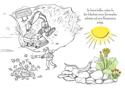 Eidechse, Ausmalbuch, Naturschutz, Reptilien, Echse, Kinderbuch, Natur, heimische Tiere, bedrohte Tiere, Mauereidechse