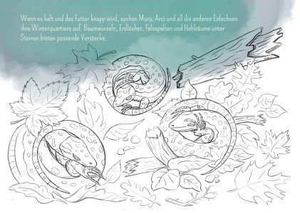 Eidechse, Ausmalbuch, Naturschutz, Reptilien, Echse, Kinderbuch, Natur, heimische Tiere, bedrohte Tiere, Mauereidechse