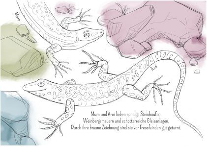 Eidechse, Ausmalbuch, Naturschutz, Reptilien, Echse, Kinderbuch, Natur, heimische Tiere, bedrohte Tiere, Mauereidechse