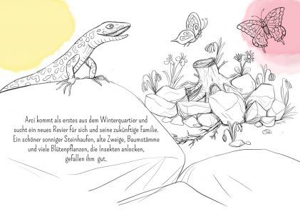 Eidechse, Ausmalbuch, Naturschutz, Reptilien, Echse, Kinderbuch, Natur, heimische Tiere, bedrohte Tiere, Mauereidechse