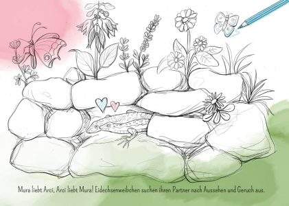 Eidechse, Ausmalbuch, Naturschutz, Reptilien, Echse, Kinderbuch, Natur, heimische Tiere, bedrohte Tiere, Mauereidechse