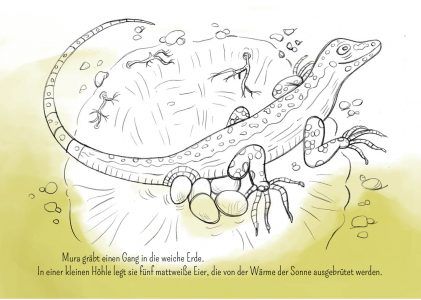 Eidechse, Ausmalbuch, Naturschutz, Reptilien, Echse, Kinderbuch, Natur, heimische Tiere, bedrohte Tiere, Mauereidechse