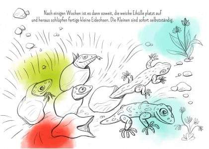 Eidechse, Ausmalbuch, Naturschutz, Reptilien, Echse, Kinderbuch, Natur, heimische Tiere, bedrohte Tiere, Mauereidechse
