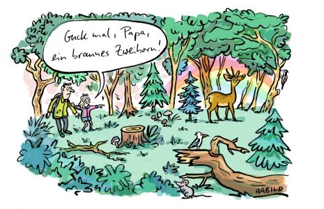 Zweihorn, Wald, Einhorn, Waldspaziergang, Kind, Natur, Naturerlebnis, Naturerfahrung