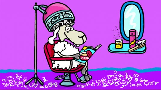 Elvis, Cartoon, Comic, Schaf, Tier, Sympathiefigur, Cartoonfigur, Comicfigur, Locken, Friseur, Dauerwelle, Friseursalon, Friseurstuhl