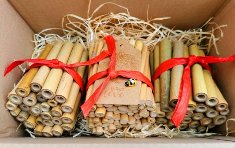 Insektenhotel, selberbauen, Brutröhren, Bambus, Geschenk, DIY Insektenhotel, Bausatz, nachhaltig, öko, Bienen, Wildbienenöko