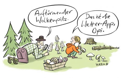 wetterapp, Pilzapp, Digital natives, pilzesammeln