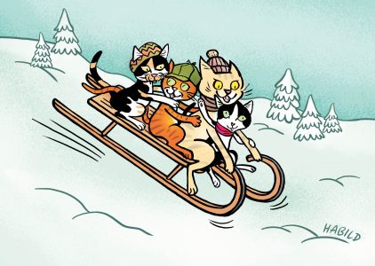 Katzen, Karte, Schlitten, Winter, Postkarte, Kinder