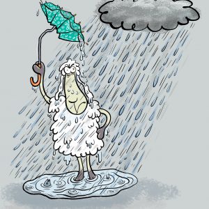 Aprilwetter, Elvis, Schaf, Regen, Sturm, nass, kalt, regenschirm