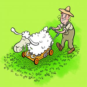Rasenmähen, Rasenmäher, Elvis, Schaf, Gras, Schwitzen