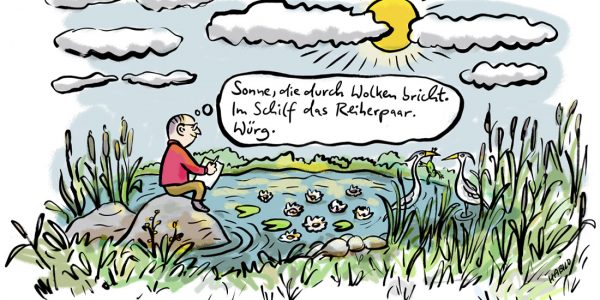 Dichter Landschaft Reiher Sonne Wolken Romantik Dichtung Teich See Natur Idyll Landschaft Arzt