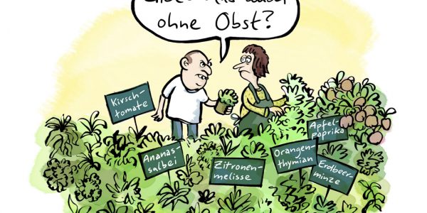 Kräuter Obst Garten Pflanzen Gärtnerei Züchtung