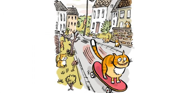 rollige katze rollig skateboard frühling katzen dorf geschlechtsreif