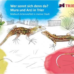 Eidechse, Ausmalbuch, Naturschutz, Reptilien, Echse, Kinderbuch, Natur, heimische Tiere, bedrohte Tiere, Mauereidechse