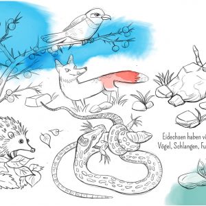 Eidechse, Ausmalbuch, Naturschutz, Reptilien, Echse, Kinderbuch, Natur, heimische Tiere, bedrohte Tiere, Mauereidechse, Feinde