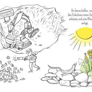 Eidechse, Ausmalbuch, Naturschutz, Reptilien, Echse, Kinderbuch, Natur, heimische Tiere, bedrohte Tiere, Mauereidechse