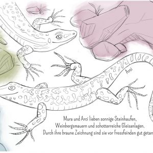 Eidechse, Ausmalbuch, Naturschutz, Reptilien, Echse, Kinderbuch, Natur, heimische Tiere, bedrohte Tiere, Mauereidechse