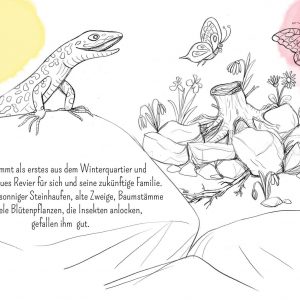 Eidechse, Ausmalbuch, Naturschutz, Reptilien, Echse, Kinderbuch, Natur, heimische Tiere, bedrohte Tiere, Mauereidechse