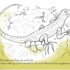Eidechse, Ausmalbuch, Naturschutz, Reptilien, Echse, Kinderbuch, Natur, heimische Tiere, bedrohte Tiere, Mauereidechse