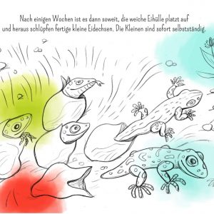 Eidechse, Ausmalbuch, Naturschutz, Reptilien, Echse, Kinderbuch, Natur, heimische Tiere, bedrohte Tiere, Mauereidechse