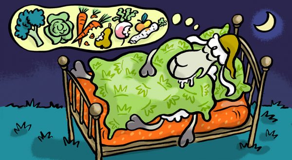 Elvis, Cartoon, Comic, Schaf, Tier, Sympathiefigur, Cartoonfigur, Comicfigur, Schlaf, Traum, schlafen, träumen, Bett