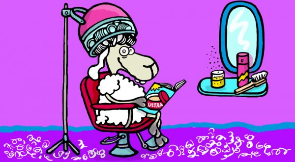 Elvis, Cartoon, Comic, Schaf, Tier, Sympathiefigur, Cartoonfigur, Comicfigur, Locken, Friseur, Dauerwelle, Friseursalon, Friseurstuhl